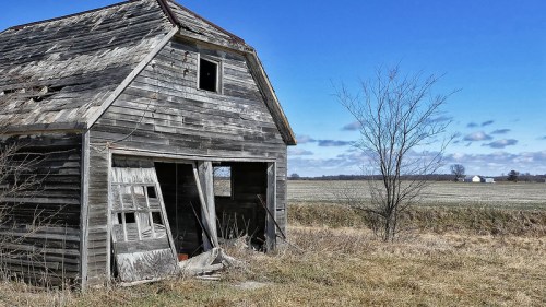 An old, weathered barn stands in a field under a clear blue sky, with a bare tree nearby and distant buildings in the background.