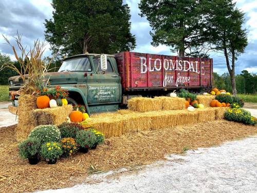A vintage truck with "Bloomsdale Farm" painted on the side, surrounded by hay bales, pumpkins, and colorful flowers.