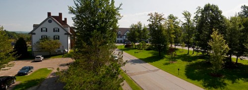 A peaceful street scene with trees, grass, and buildings under a clear sky. Cars are parked along the road.