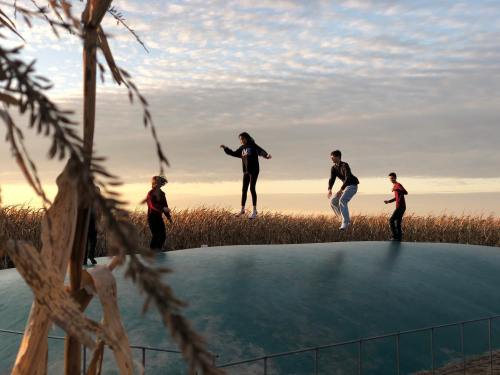 A group of five people playfully jumping on a large, rounded surface surrounded by tall grass under a cloudy sky.