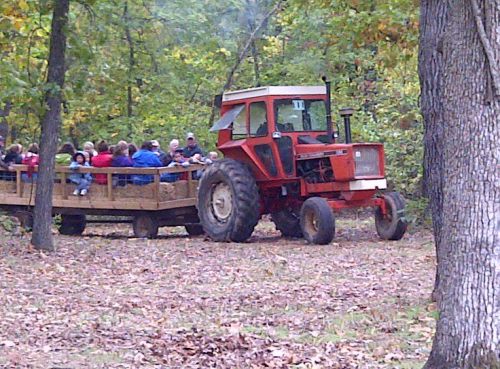A red tractor pulls a wooden wagon filled with people through a wooded area with autumn leaves.