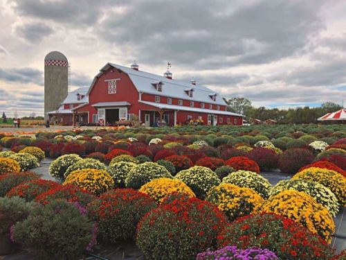 A vibrant farm scene featuring a red barn, silos, and colorful flower beds under a cloudy sky.