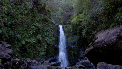 A serene waterfall cascading down rocky cliffs, surrounded by lush green foliage and moss-covered stones.