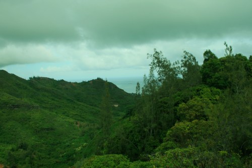 Lush green hills and trees overlook a distant ocean under a cloudy sky.