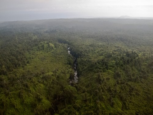 Aerial view of a lush green landscape with a winding river cutting through dense forest.