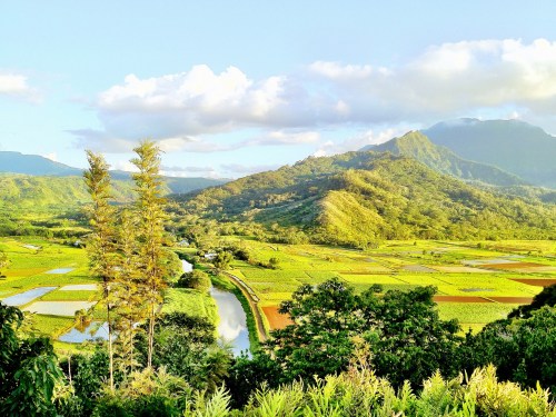Lush green landscape with rice fields, a winding river, and mountains under a bright sky with scattered clouds.