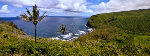 A scenic coastal view with lush greenery, palm trees, and waves crashing against the shore under a blue sky.