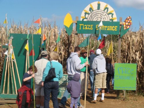 A group of people gathers at the entrance of a corn maze, surrounded by tall corn stalks and colorful flags.