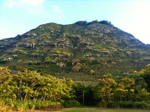 Lush green hillside with rocky outcrops, framed by trees and a clear blue sky.