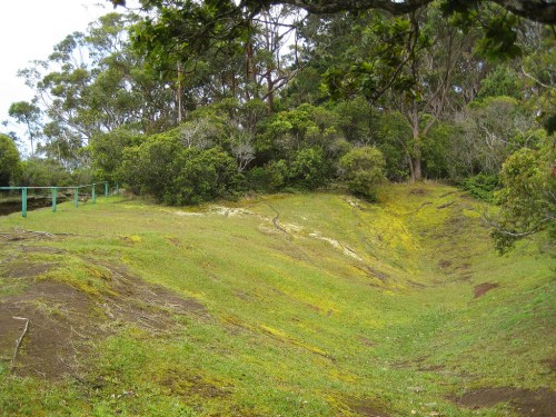 A grassy landscape with trees and a slight slope, featuring a green fence in the background.