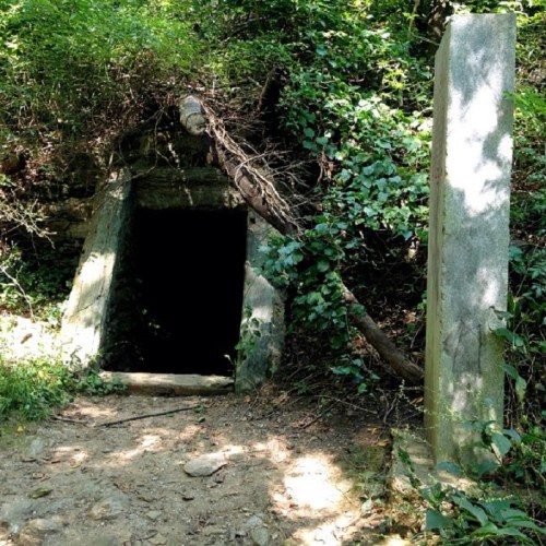 A dark, overgrown entrance to a cave or tunnel, flanked by a stone pillar and surrounded by lush greenery.