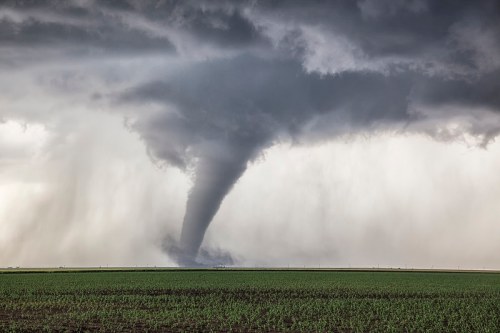 A tornado descends from dark storm clouds over a green field, with rain falling in the background.