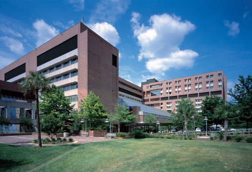 Modern hospital buildings surrounded by greenery and blue skies, showcasing a contemporary architectural design.