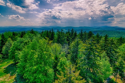 Lush green trees in the foreground with rolling mountains and a cloudy sky in the background.