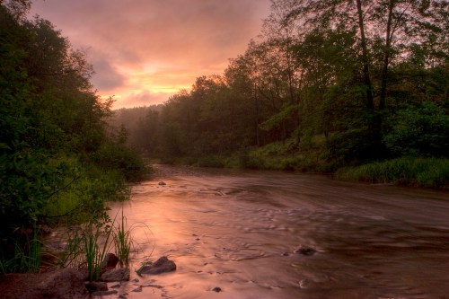A serene river flows through a lush forest at sunset, with soft light reflecting on the water's surface.