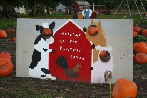 A painted board with cutouts of animals, welcoming visitors to a pumpkin patch, surrounded by pumpkins in a field.