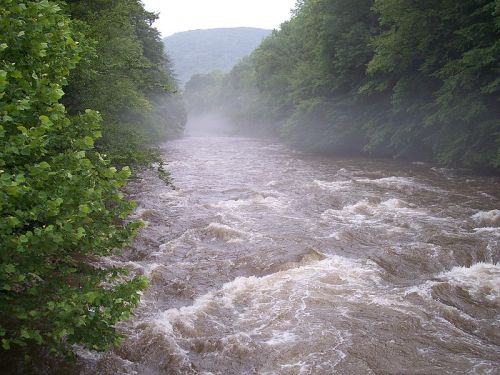 A misty river flows through a lush green landscape, surrounded by trees and distant hills.