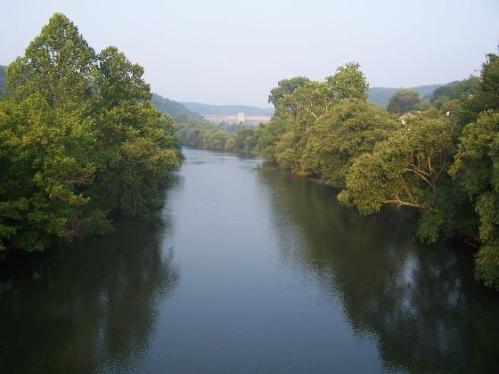 A serene river surrounded by lush green trees, with a misty landscape in the background.