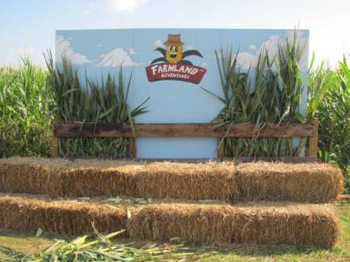 A colorful backdrop with a farm theme, featuring corn stalks and hay bales, set in a sunny outdoor area.