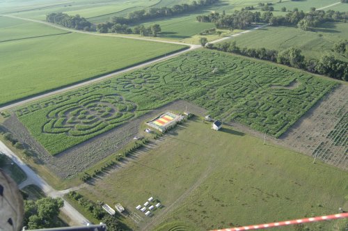 Aerial view of a large corn maze with floral patterns, surrounded by green fields and a small building nearby.