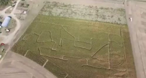 Aerial view of a large field with intricate patterns carved into the grass, surrounded by a rural landscape.