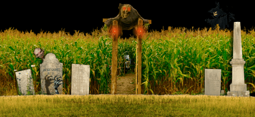 A spooky scene with a cornfield, a wooden gate, and eerie figures among gravestones, creating a haunted atmosphere.