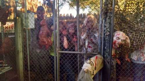 A spooky scene with people dressed as zombies behind a chain-link fence, surrounded by eerie decorations.