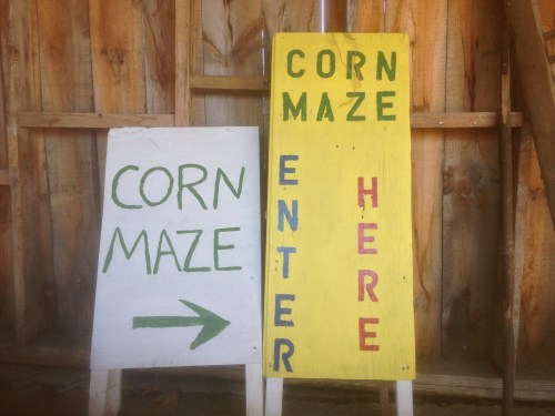 Two signs for a corn maze: one with an arrow pointing left and the other indicating "ENTER HERE" in bright colors.