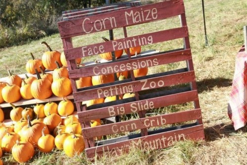 A wooden sign lists activities at a fall festival, with pumpkins displayed in the background.