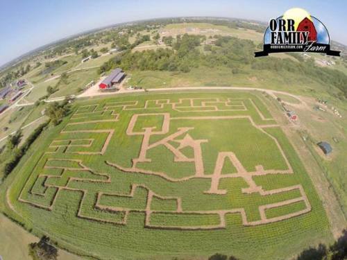 Aerial view of a corn maze shaped like "OKLA" at Orr Family Farm, surrounded by green fields and a red barn.
