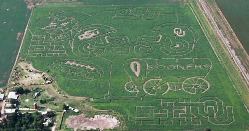 Aerial view of a corn maze featuring designs of sports logos and symbols for Oklahoma State University and the Sooners.