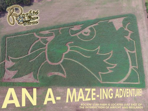 Aerial view of a corn maze shaped like a fierce face, with text promoting Rockin' Star Farm's maze adventure.