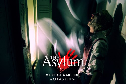 A person screams in a dimly lit hallway, with eerie shadows and the text "The Asylum: We're all mad here."