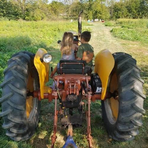 Two children sit on a yellow tractor in a grassy field, surrounded by trees and open space.