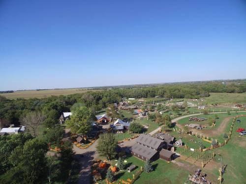 Aerial view of a rural farm with fields, buildings, and pumpkin patches under a clear blue sky.