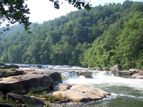 A serene river flows over rocks, surrounded by lush green trees and hills under a clear sky.