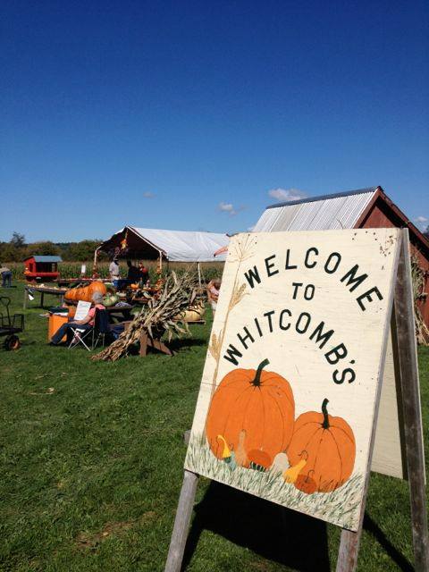 A sign reading "Welcome to Whitcombs" with pumpkins, set in a sunny outdoor farm scene.