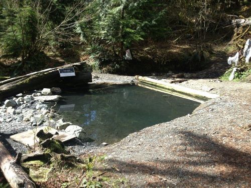 A natural hot spring surrounded by trees and rocks, with a wooden edge and a sign nearby.