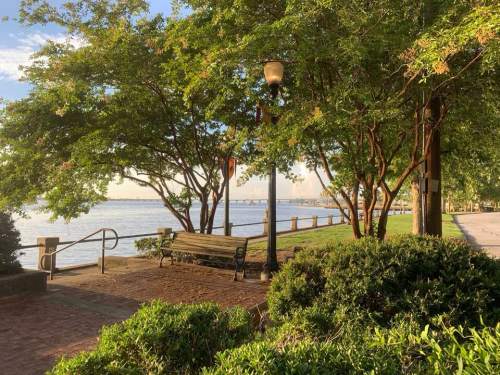 A peaceful riverside park with a bench, trees, and a walkway along the water, illuminated by morning light.