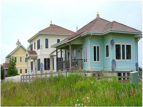 Two colorful houses with unique roofs, surrounded by tall grass and a cloudy sky.