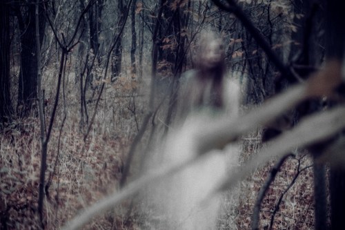A blurred figure in a white dress stands among trees in a misty, autumn forest, creating an eerie atmosphere.