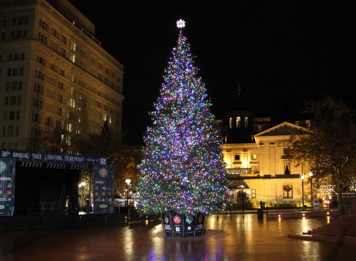 A brightly lit Christmas tree adorned with colorful lights stands in a plaza at night, with buildings in the background.