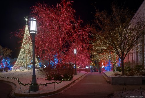 A winter scene featuring a brightly lit Christmas tree and colorful lights on trees, with snow on the ground.