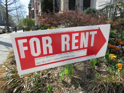 Sign advertising a basement for rent, featuring contact information and a large arrow pointing right.