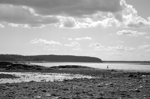 A person walks along a rocky shoreline under a cloudy sky, with water and distant trees in the background.