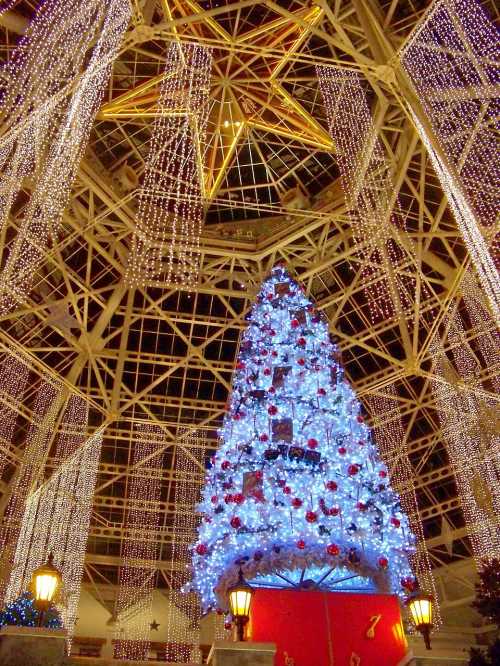 A beautifully decorated Christmas tree with blue lights, surrounded by hanging lights in a festive indoor setting.