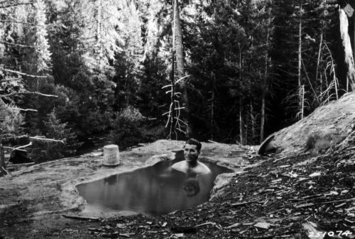 A man relaxes in a natural hot spring surrounded by trees, with a bucket nearby in a serene forest setting.
