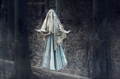 A figure in a flowing dress and lace veil stands in a dark forest, surrounded by trees and a misty atmosphere.