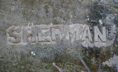 alt