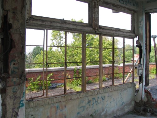 View from an abandoned building, featuring broken windows and overgrown greenery outside.